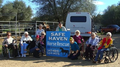 Residents participating in an outdoor activity at a horse rescue