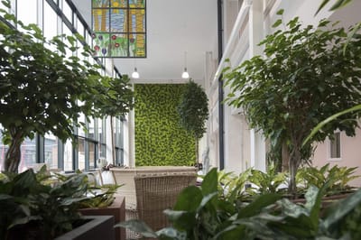 A serene interior space with green plants and bright lighting