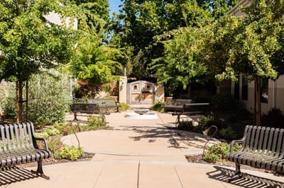 Serene outdoor space with benches and lush greenery