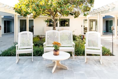 Outdoor seating area with chairs and a potted plant
