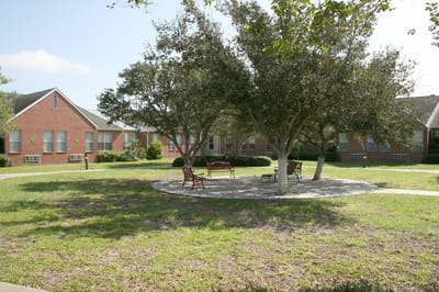Outdoor space with benches surrounded by trees