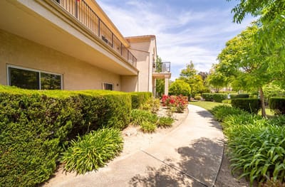Pathway leading through landscaped gardens at the facility
