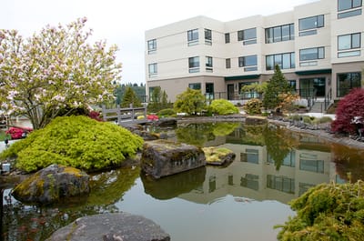 Outdoor garden area with water feature and building in background