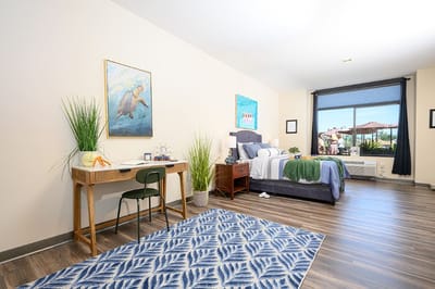 Brightly decorated resident room with a view
