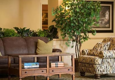 Cozy common area with seating and greenery