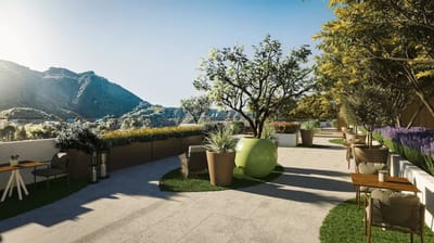 Outdoor patio area with plants and seating