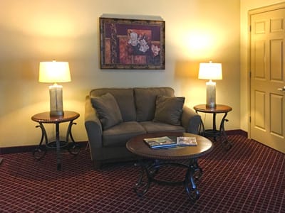 Cozy interior lounge area with sofas and lamps
