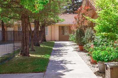 Pathway leading through a landscaped area