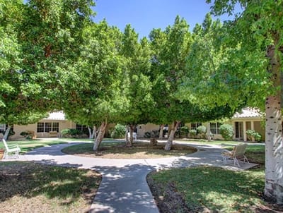 Well-maintained outdoor area with trees and pathway