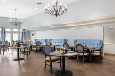Bright dining room with elegant furniture