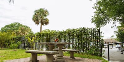 Outdoor seating area with a garden view