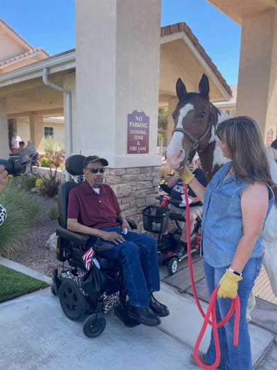 Residents interacting with a therapy horse outside the facility