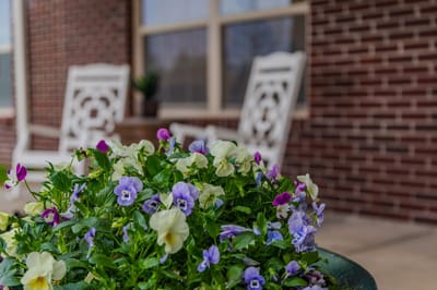 Colorful flower pot on a porch with rocking chairs in background