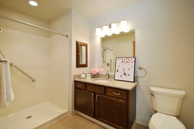 Brightly lit bathroom in a residential room