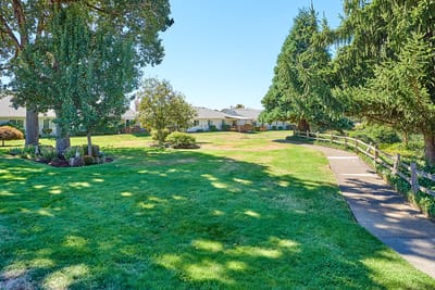 Lush outdoor space with walking path and trees