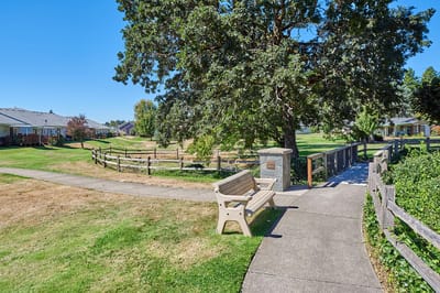 Pathway in an outdoor area with seating and greenery