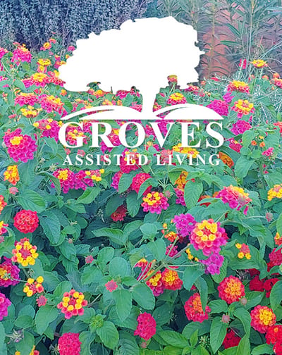 Logo of Groves Assisted Living on vibrant flower background