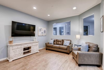 Cozy living room with couches and television