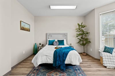 A well-decorated resident room with a bed and plants