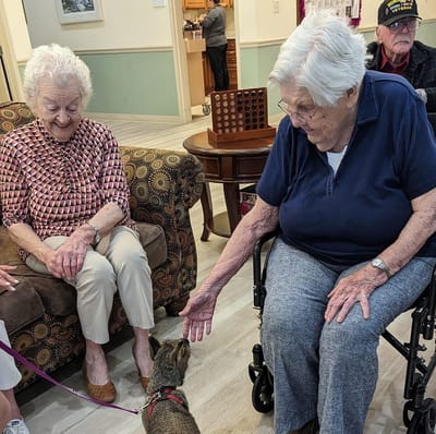 Residents interacting with a cat in a common area