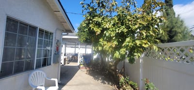 Outdoor space with a tree and patio furniture
