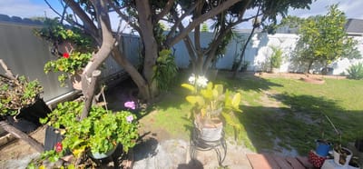 A serene garden space with potted plants and flowers
