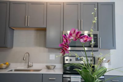 Stylish kitchen with flowers and modern appliances
