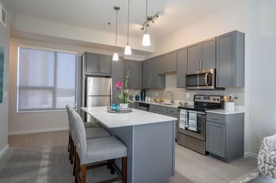 Modern kitchen interior with gray cabinets and appliances