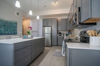 Modern kitchen interior with amenities