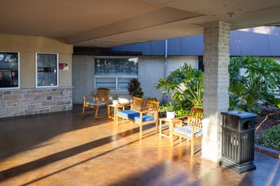 Outdoor seating area with plants and sunlight