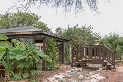 Outdoor garden area with a wooden walkway