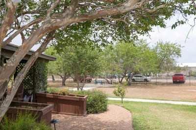 Outdoor space with trees and seating areas