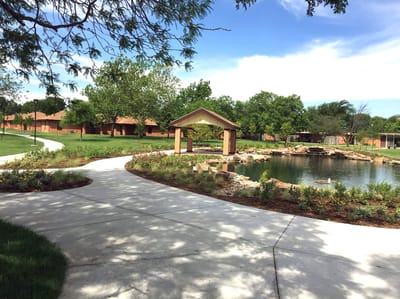 Pathway leading to a water feature in a landscaped garden