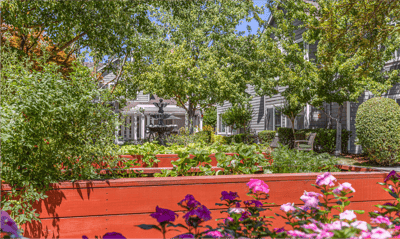 Lush garden area with colorful flowers and fountain