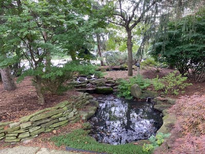 A serene outdoor pond surrounded by greenery
