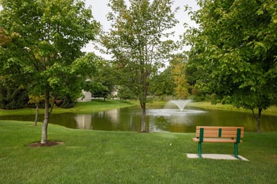 Serene outdoor space with a pond and bench