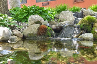 A serene water feature surrounded by greenery