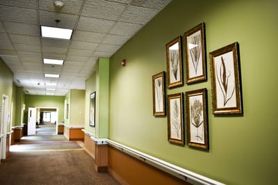 A corridor with framed botanical art on a green wall