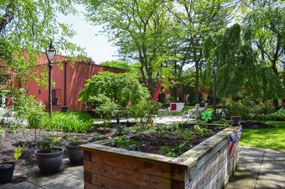 Outdoor garden area with greenery and seating
