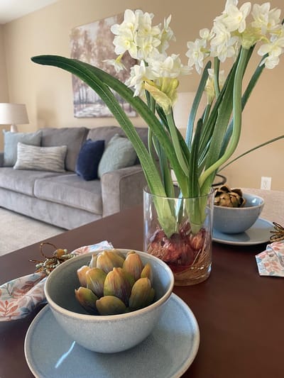 Cozy interior with decorative flowers and succulents