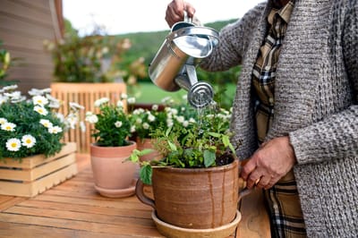 Resident watering plants in an outdoor garden area