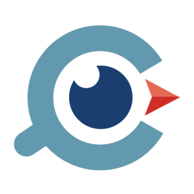 Abstract bird logo design