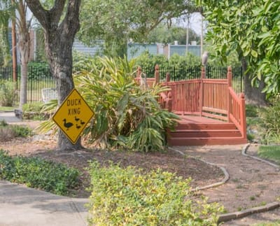 Garden pathway with a 'Duck Xing' sign
