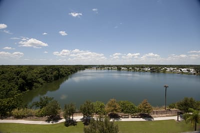 Scenic view of a lake surrounded by greenery