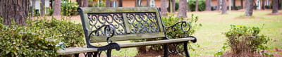 Outdoor bench in a landscaped area
