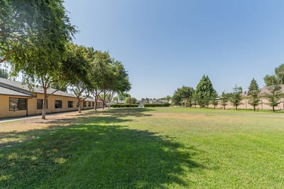 Open outdoor space with well-maintained grass and trees