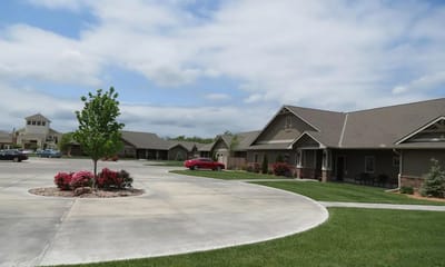 Tree-lined parking area with buildings in the background.