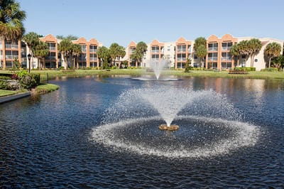 Exterior view of a serene pond with fountain and buildings