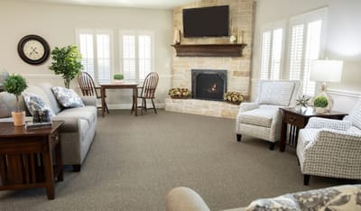 Cozy interior common area with seating and fireplace