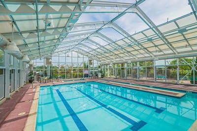 Indoor swimming pool with natural light streaming through